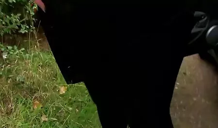Rambut Coklat Di Blue Latex Menyebalkan Dan Fucks Dengan download gudang xxx Wajah