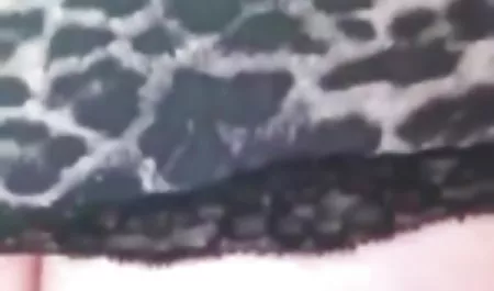 Ibu Rumah Tangga Kanada gudang bokep ngintip Shanda Fay Anal Fucked
