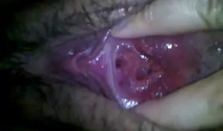 Pertama lesbian download gudang bokep gratis anal Gina Valentina